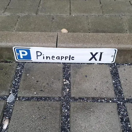 شقة Pineapple - Zwinger Xi - 64qm دريسدن