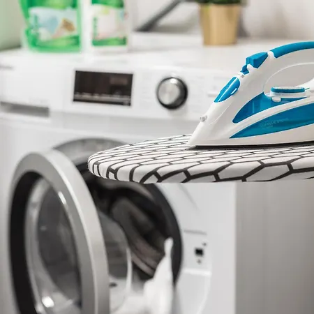 Pineapple - Zwinger Xi - 64qm