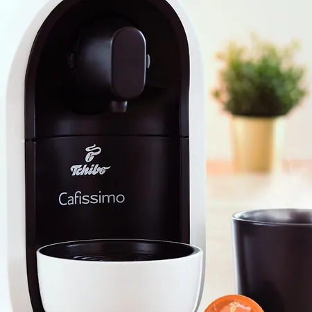 Pineapple - Zwinger Xi - 64qm Dresden